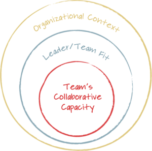 systemic-team-coaching